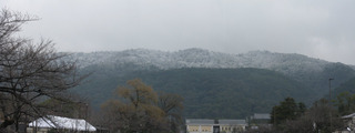 6250^6252.jpg