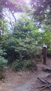 DSC_0010.JPG