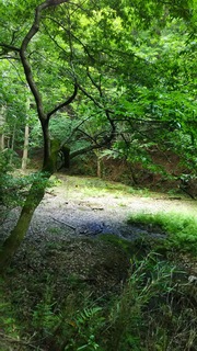 DSC_0012.JPG