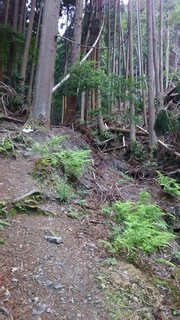DSC_0014.JPG