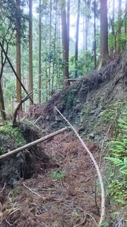DSC_0489.JPG