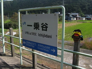 IMG_5987.JPG