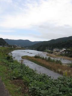 IMG_6050.JPG