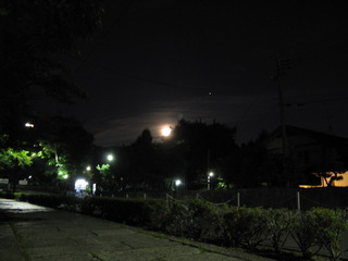 IMG_6803.JPG